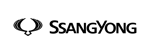 لوگوی سانگ یانگ
